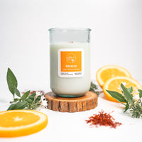 Bundle: 2025 New Scents