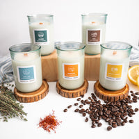 Bundle: 2025 New Scents
