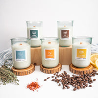 Bundle: 2025 New Scents