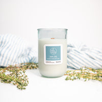 Bundle: 2025 New Scents