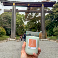 Tokyo (white peach | green tea)