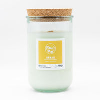 Hawaii (jasmine | ocean breeze)