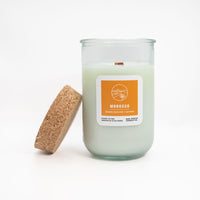 Bundle: 2025 New Scents