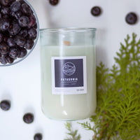 Patagonia (cypress | berry)