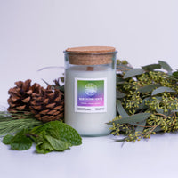 Northern Lights (peppermint | pinecones | evergreen)