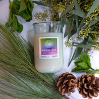 Northern Lights (peppermint | pinecones | evergreen)