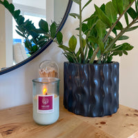 Portland (fraser fir | rose)