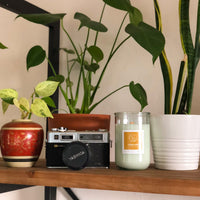 Fiordland (rain water | lemon | patchouli)
