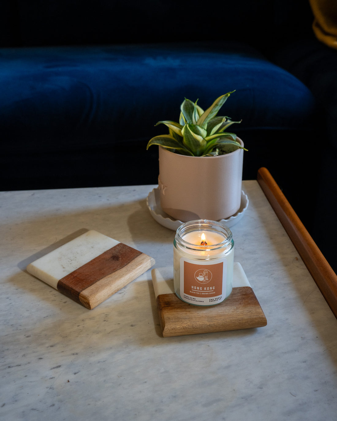 Bundle: 2026 New Scents