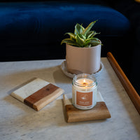 Bundle: 2026 New Scents