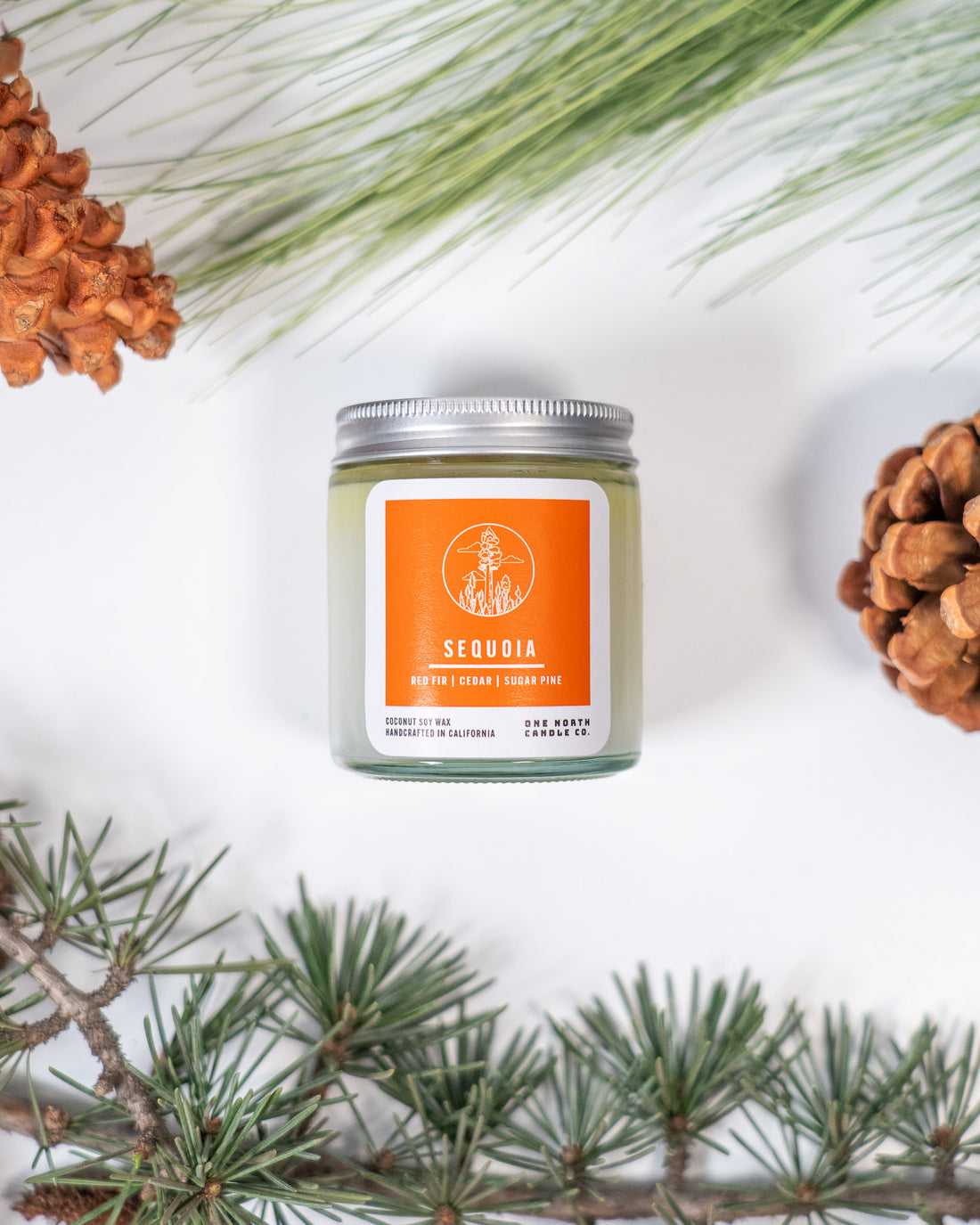 Sequoia (red fir | cedar | sugar pine)