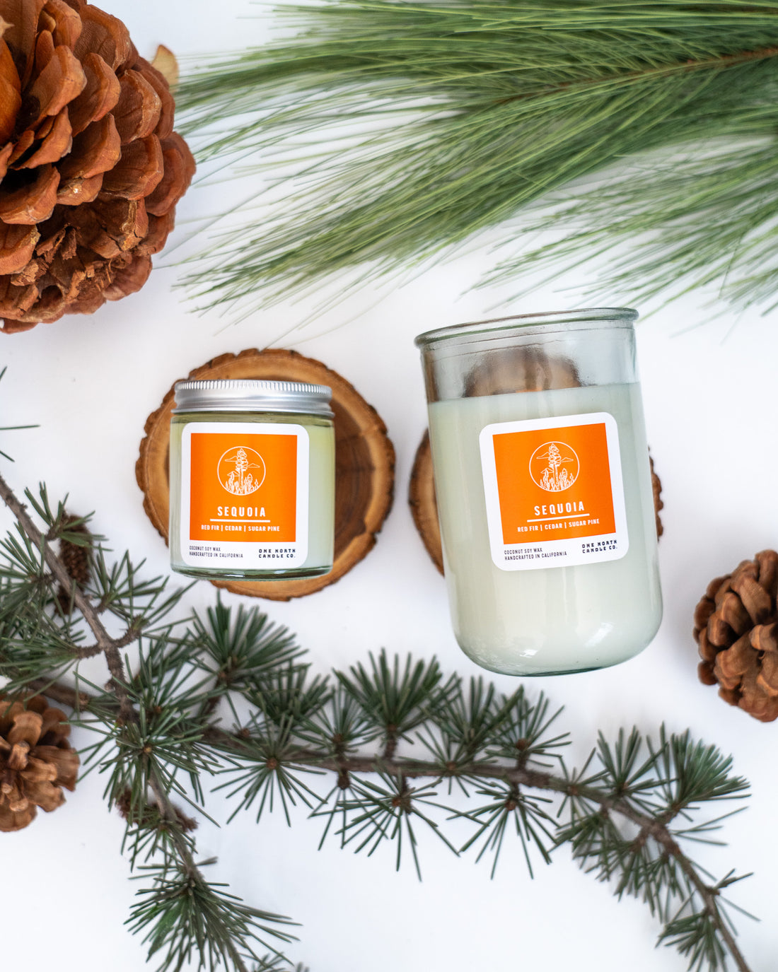 Sequoia (red fir | cedar | sugar pine)